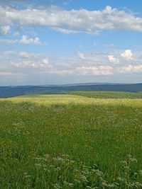 Aussicht vom Wanderweg